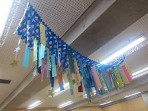 gallery_img013