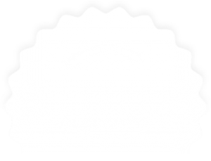 sp_icon005